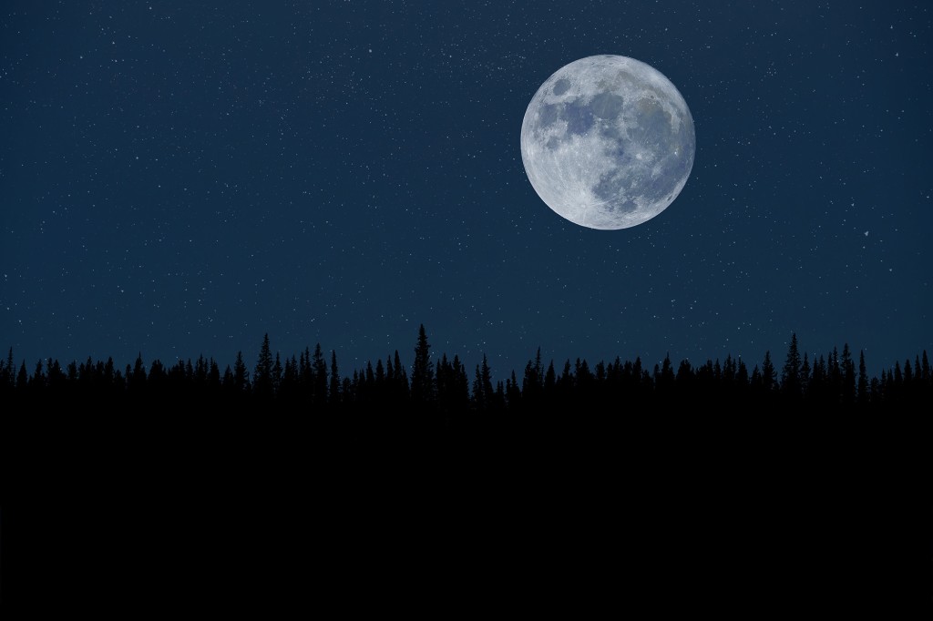 Gece Ormanı Üzerinde Süper Ay