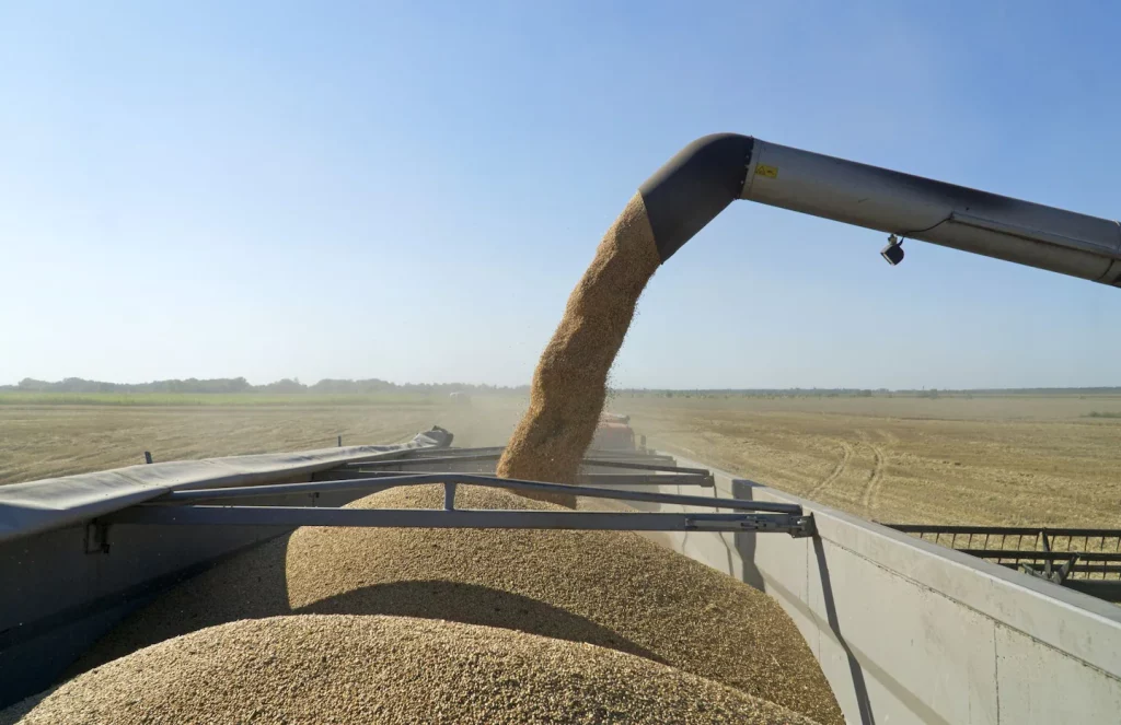 Rusya'nın Ukrayna'yı işgali nedeniyle buğday ve diğer ABD gıda fiyatları artabilir