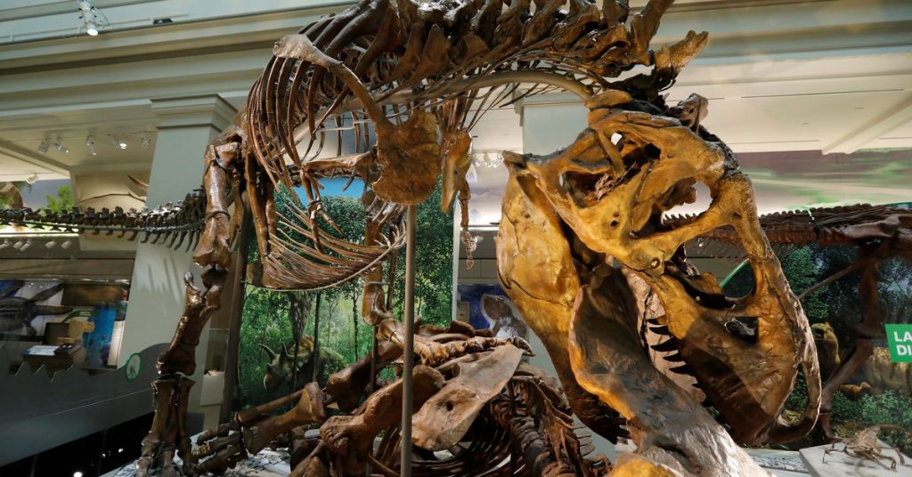 Bilim adamları, Tyrannosaurus’un sadece ‘Rex’ değil, üç türü olduğunu öne sürüyorlar.