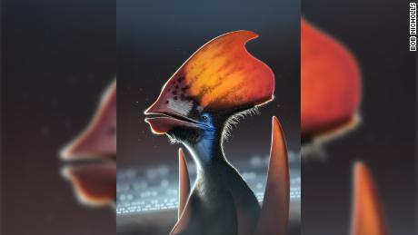 Çalışma, pterosaurların renkli tüylerle kaplı olduğunu söylüyor