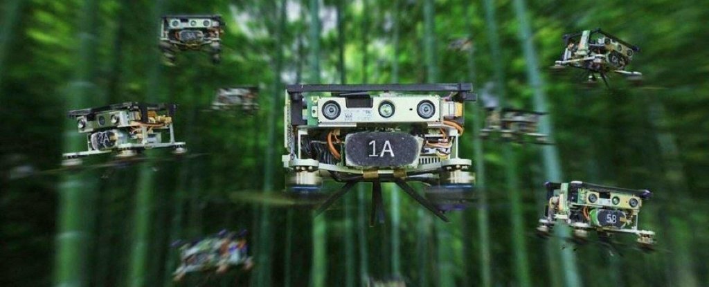 Çarpıcı görüntüler, yoğun bir ormanda korkutucu bir hassasiyetle gezinen bir drone sürüsünü gösteriyor