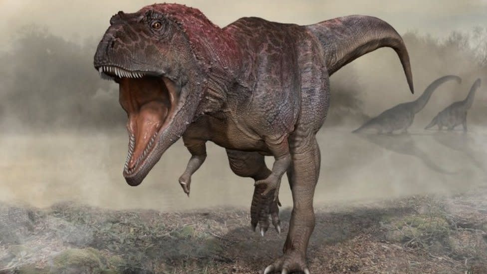 Dinozor keşfi, T-rex'in neden küçük kolları olduğunu ima ediyor