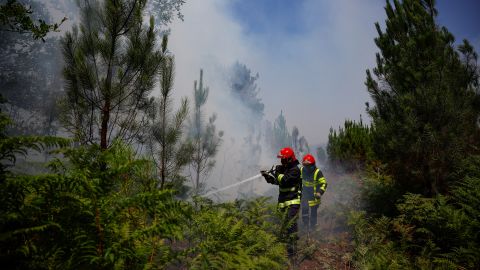 İtfaiyeciler, ulusal hava ajansının yükselen sıcaklıklar hakkında uyarılar yayınladığı Fransa'nın Louchats kentinde bir yangını kontrol altına almak için çalışıyor. 