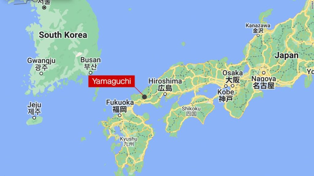 Maymun saldırıları: Japon şehri Yamaguchi, haydut makakları olduğunu düşündü.  Şimdi birden fazla olacağından korkuyorlar