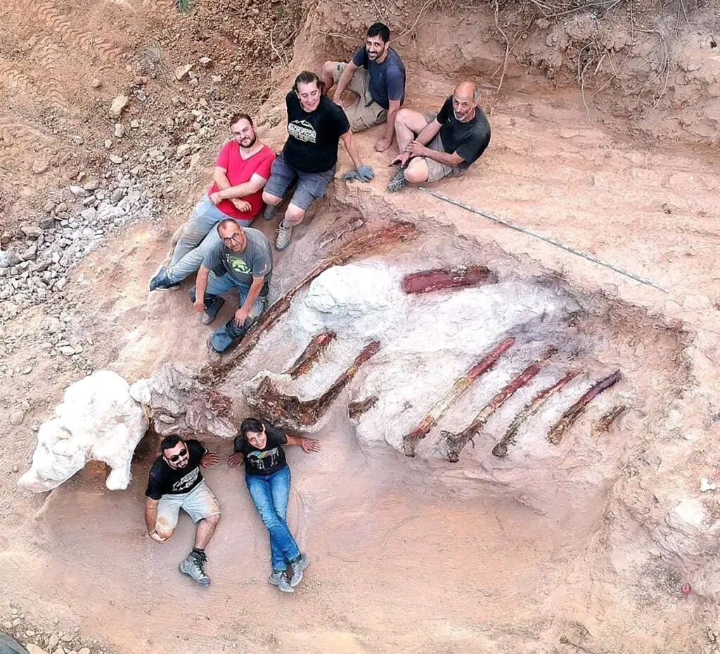 Ağustos ayında paleontologlar 10 fit uzunluğunda kaburgalar topladılar.  