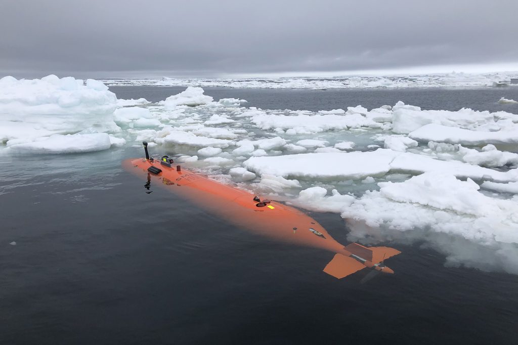 Bu yılın başlarında, uluslararası bir grup bilim insanı, erozyonu durdurmaya yardımcı olmak amacıyla buzulu incelemeye çalıştı.
