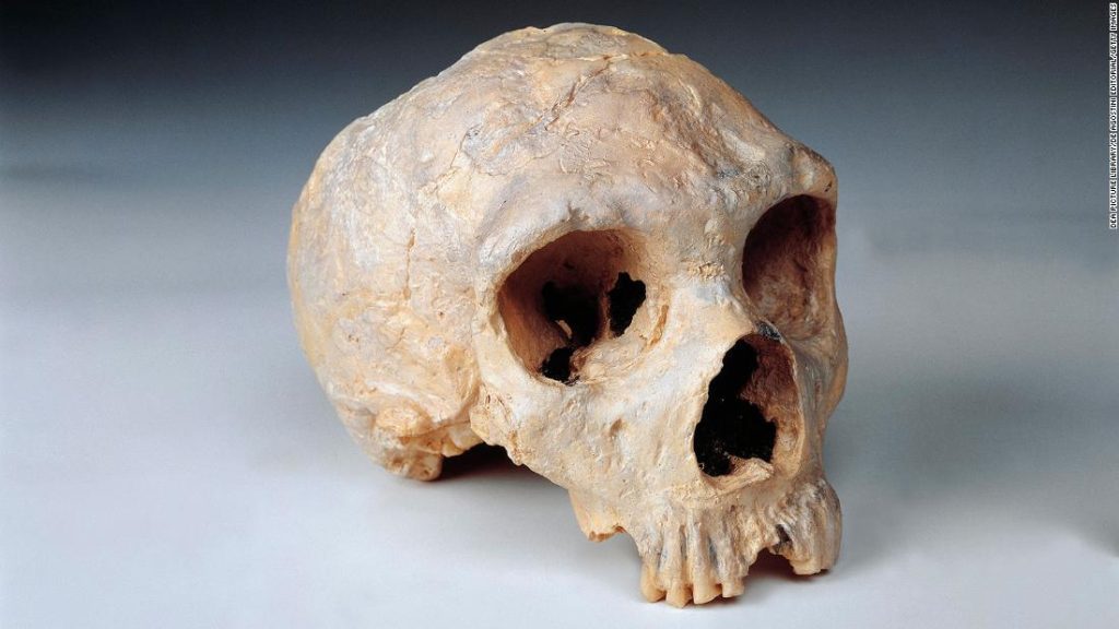 İnsan ve Neandertal beyinlerinde ortaya çıkan farklılıklar