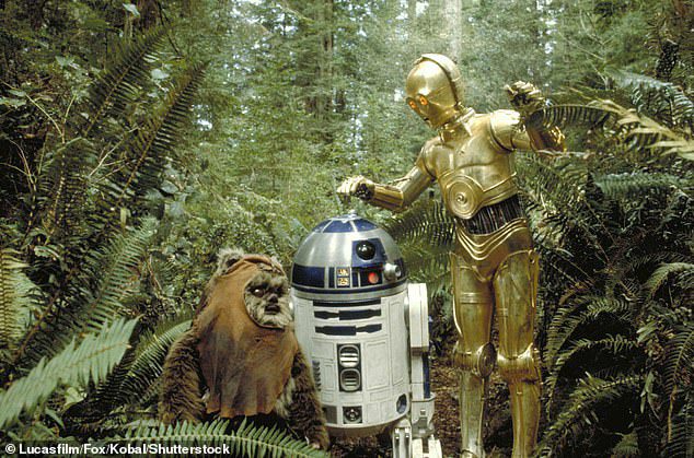 İkonik: Ayrıca 1983 yapımı popüler Star Wars: Bölüm VI - Jedi'ın Dönüşü filminde bir Ewok oynadı (R2-D2 ve C-3PO karakterleriyle bir Ewok'un genel görüntüsü)